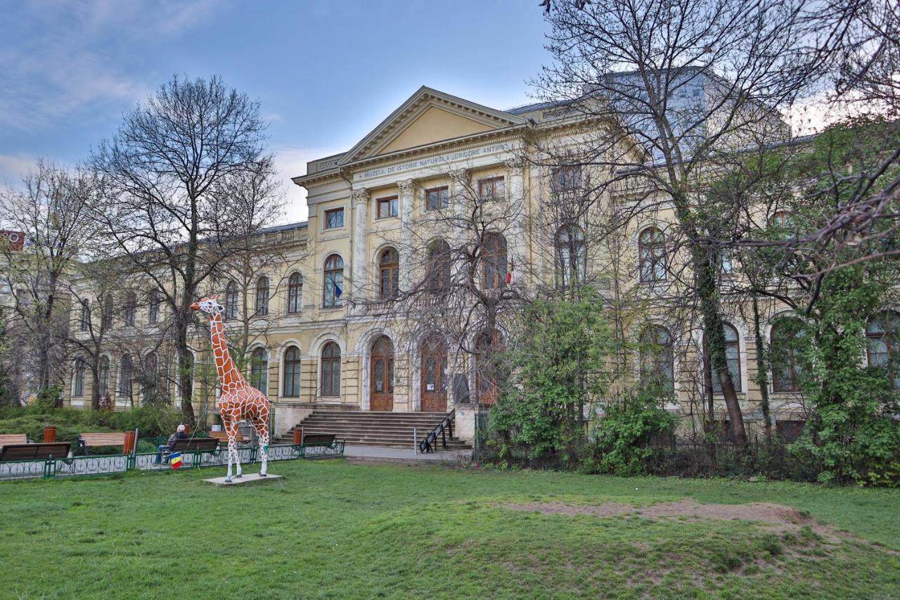Oak Apartment - Piata Victoriei Bucarest Extérieur photo